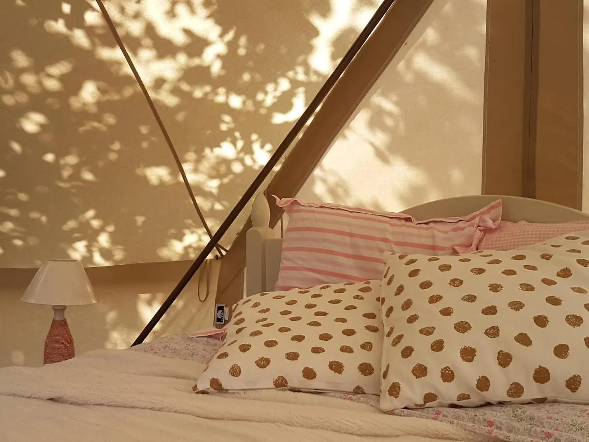 Campsite La Ferme De Clareau- Glamp'In Lodge Nature -Tentes Safari- Chambres D'Hotes Sous La Toile La Motte-Chalancon